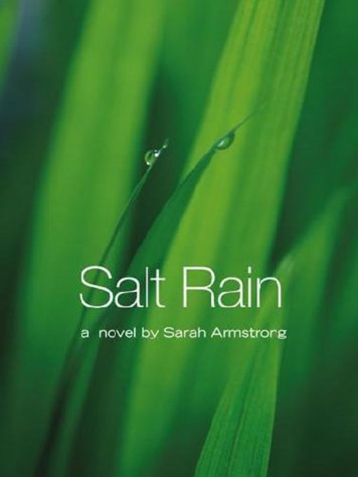Salt Rain (eBook)